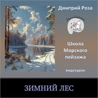 Зимний лес - индивидуальный 000322