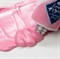 Петербургская розовая «Мастер-Класс» в тубе №354 - фото 6290